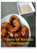 Kerala Taste of kerala Tour package