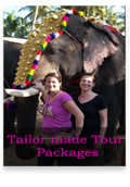 Kerala tailer made Package Tour  